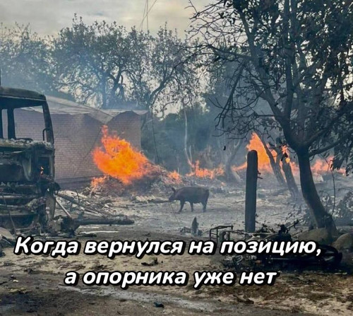 2024-10-11_22-45-05.jpg