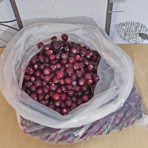 Les_14.10.2024-1.jpg