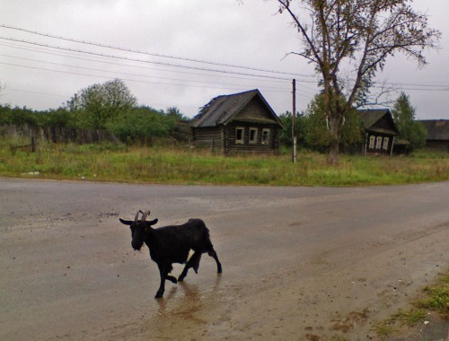 Les_03092012-2.jpg
