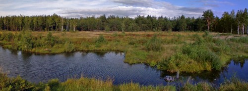 Les_07092012-1.jpg