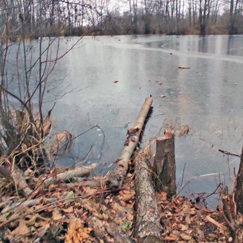 Les_27.11.2024-2.jpg