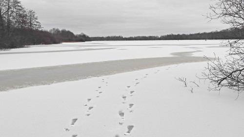 Ryb_06.12.2024-1.jpg