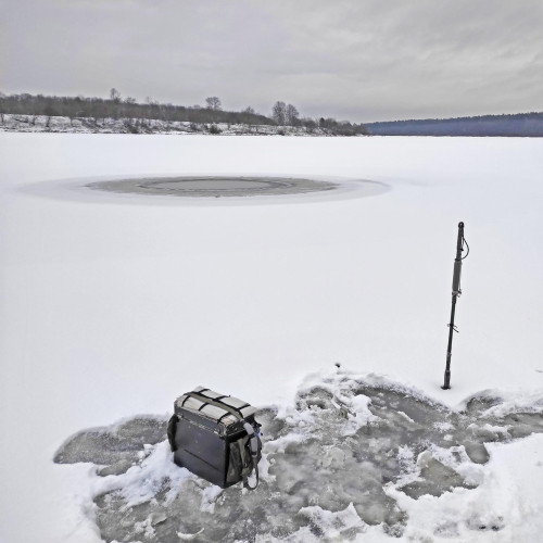 Ryb_12.12.2024-2.jpg