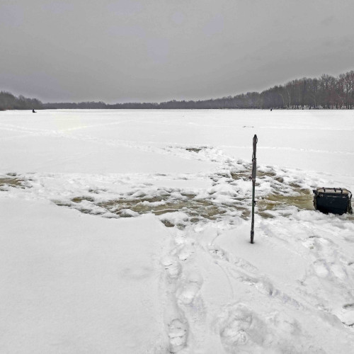 Ryb_15.12.2024-2.jpg