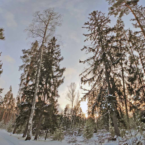 Ryb_17.12.2024-1.jpg