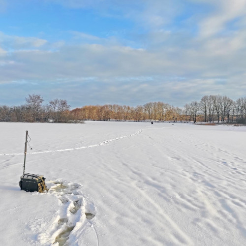 Ryb_17.12.2024-2.jpg