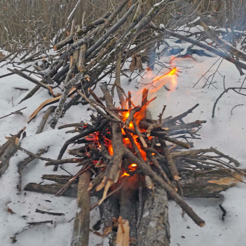 Ryb_19.12.2024-1.jpg