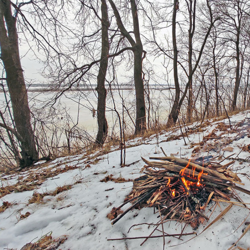 Ryb_22.12.2024-3.jpg