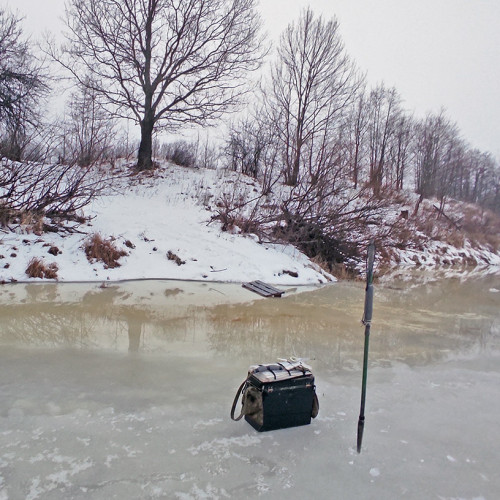Ryb_23.12.2024-2.jpg