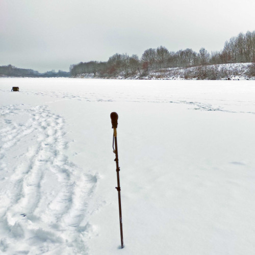 Ryb_26.12.2024-3.jpg