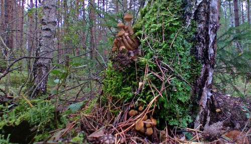 Les_10092012-4.jpg