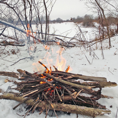 Ryb_29.12.2024-2.jpg