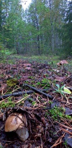 Les_10092012-5.jpg