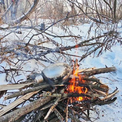 Ryb_05.01.2025-3.jpg