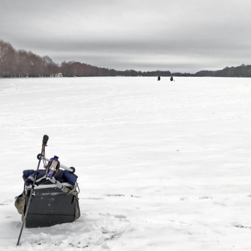 Ryb_07.01.2025-3.jpg