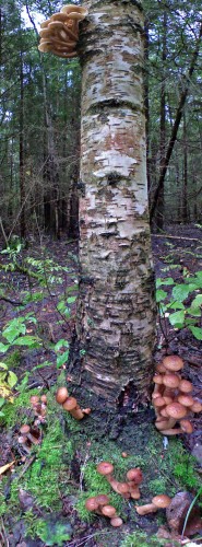 Les_10092012-3.jpg