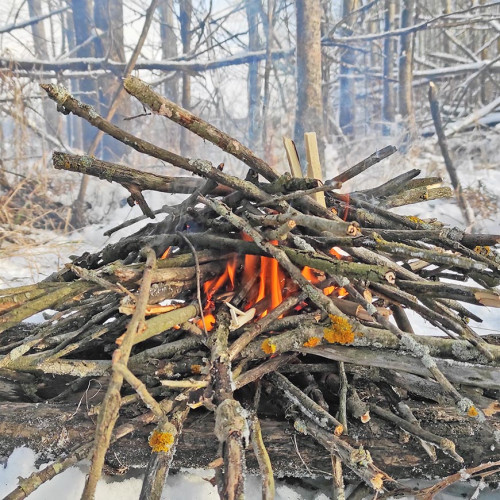Ryb_14.01.2025-3.jpg