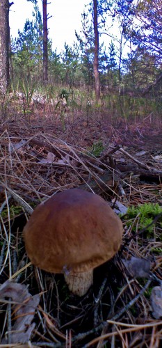 Les_11092012-1.jpg