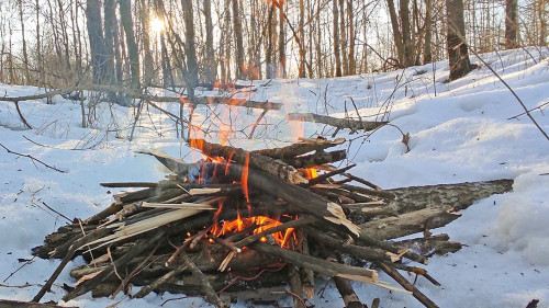Ryb_21.01.2025-4.jpg