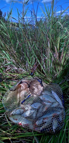 Les_11092012-3.jpg