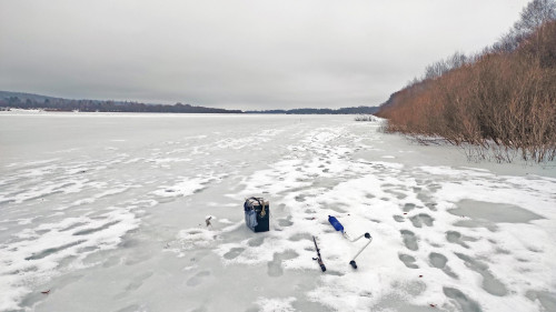 Ryb_25.01.2025-2.jpg