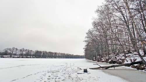 Ryb_25.01.2025-3.jpg