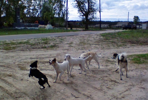 Les_11092012-4.jpg