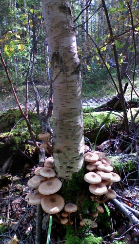 Les_13092012-3.jpg
