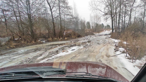 Ryb_30.01.2025-2.jpg