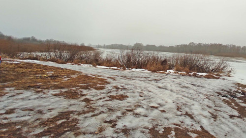 Ryb_30.01.2025-3.jpg