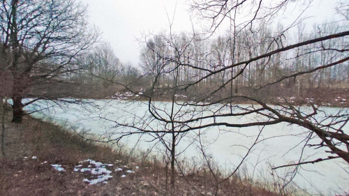Ryb_01.02.2025-2.jpg