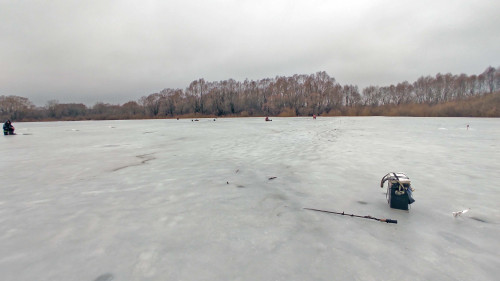 Ryb_01.02.2025-3.jpg