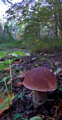 Les_13092012-4.jpg