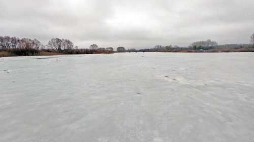 Ryb_01.02.2025-4.jpg
