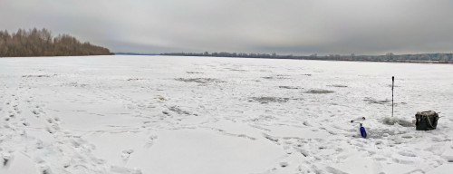 Ryb_12.02.2025-5.jpg