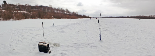 Ryb_15.02.2025-2.jpg