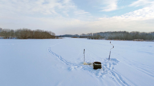 Ryb_19.02.2025-2.jpg