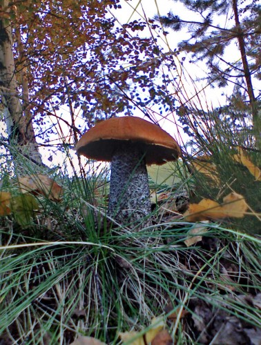 Les_17092012-3.jpg