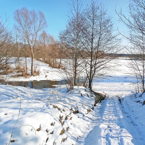 Ryb_26.02.2025-2.jpg
