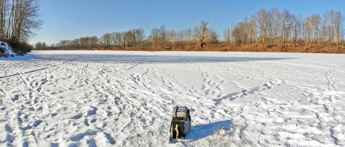 Ryb_26.02.2025-3.jpg