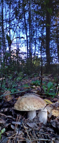 Les_17092012-2.jpg