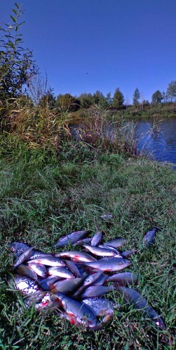 Les_17092012-5.jpg