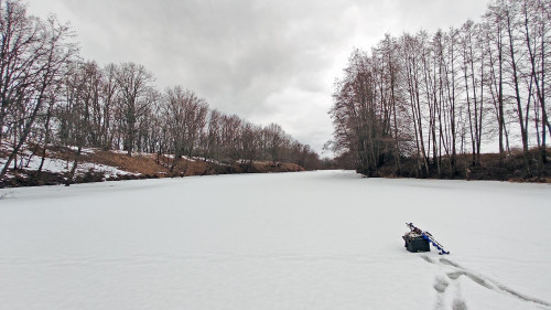 Ryb_05.03.2025-6.jpg