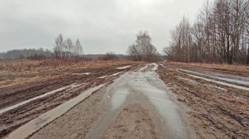 Ryb_12.03.2025-1.jpg