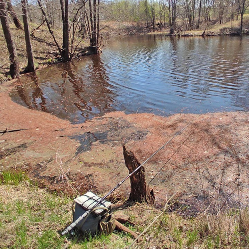 Les_21.04.2025-3.jpg