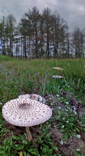 Les_19092012-3.jpg