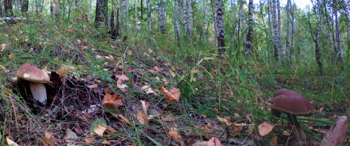 Les_19092012-5.jpg