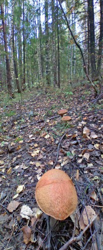 Les_21092012-1.jpg