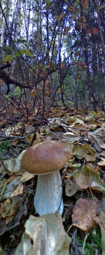 Les_21092012-2.jpg