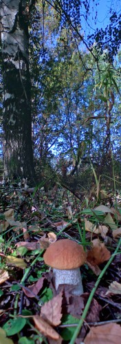 Les_23092012-5.jpg